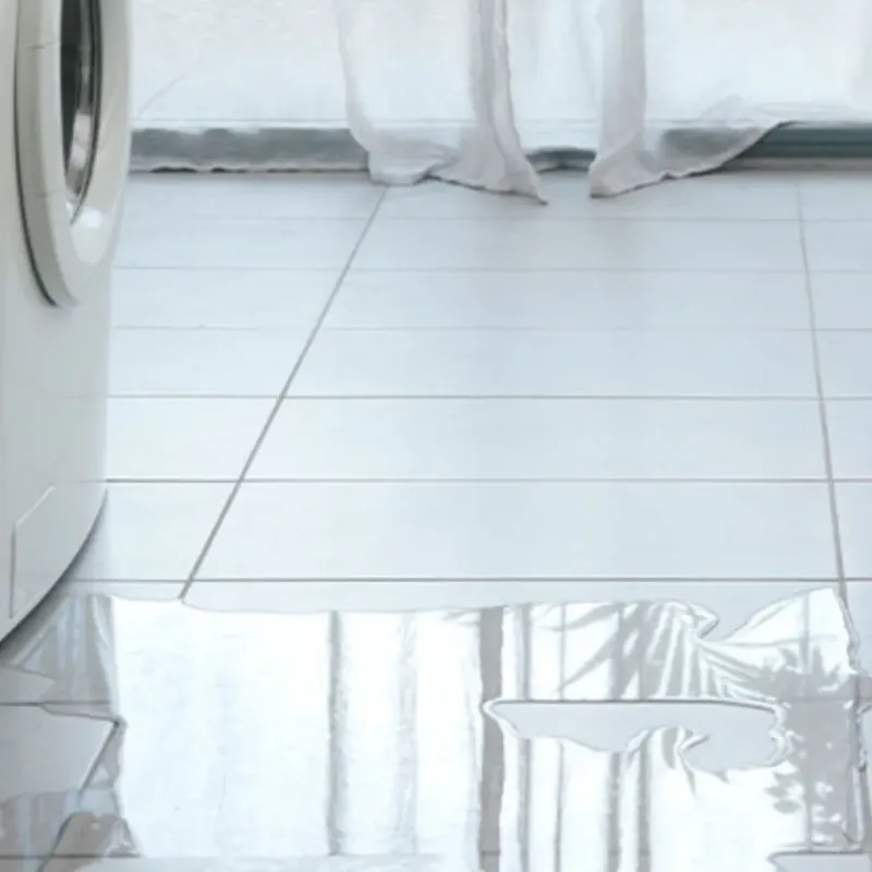 Appliance Leak Cleanup in Fifth Street, TX