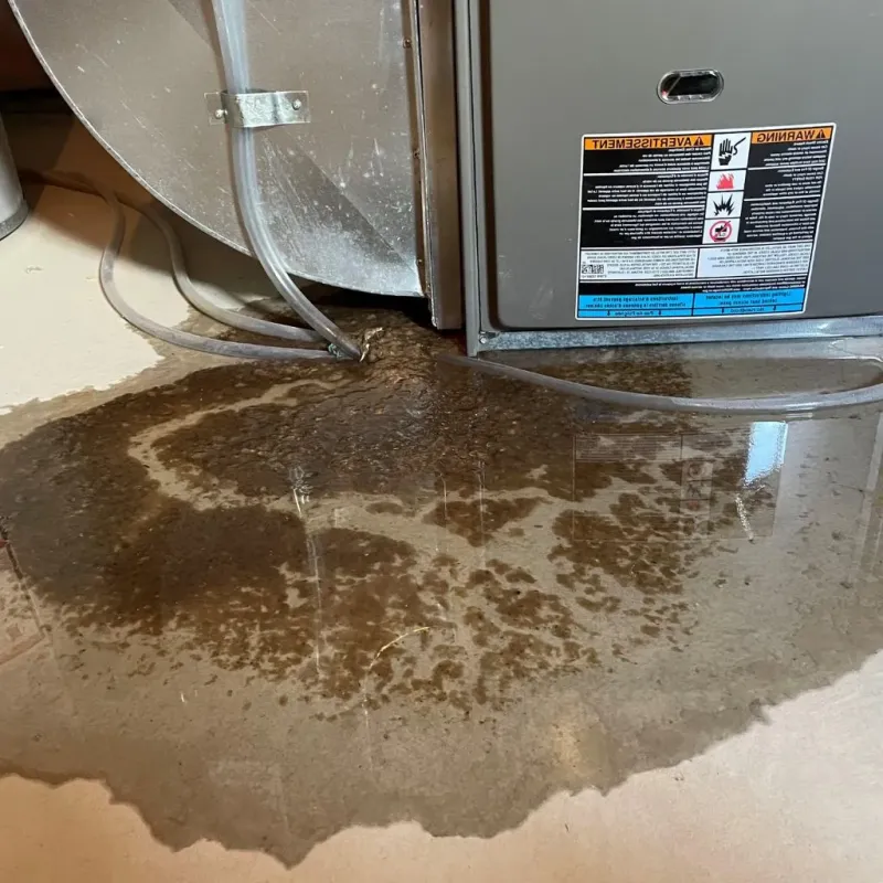 Pipe Burst and Leak Restoration in Fifth Street, TX
