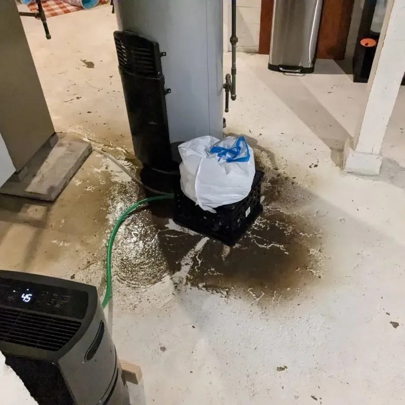 Sewage Backup Cleanup Service in Fifth Street, TX